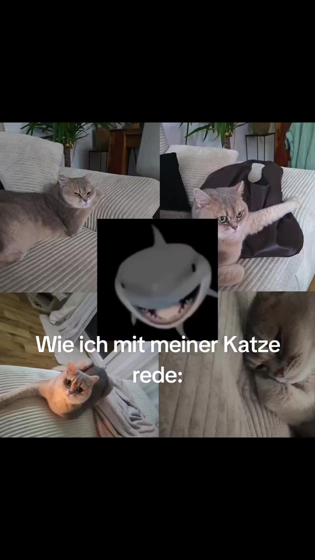 @Nala