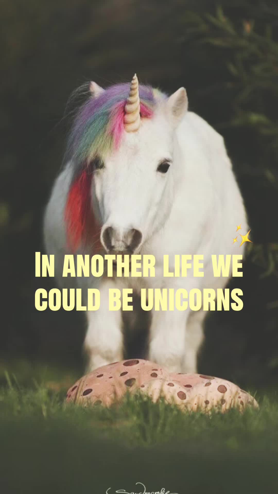 @🩷