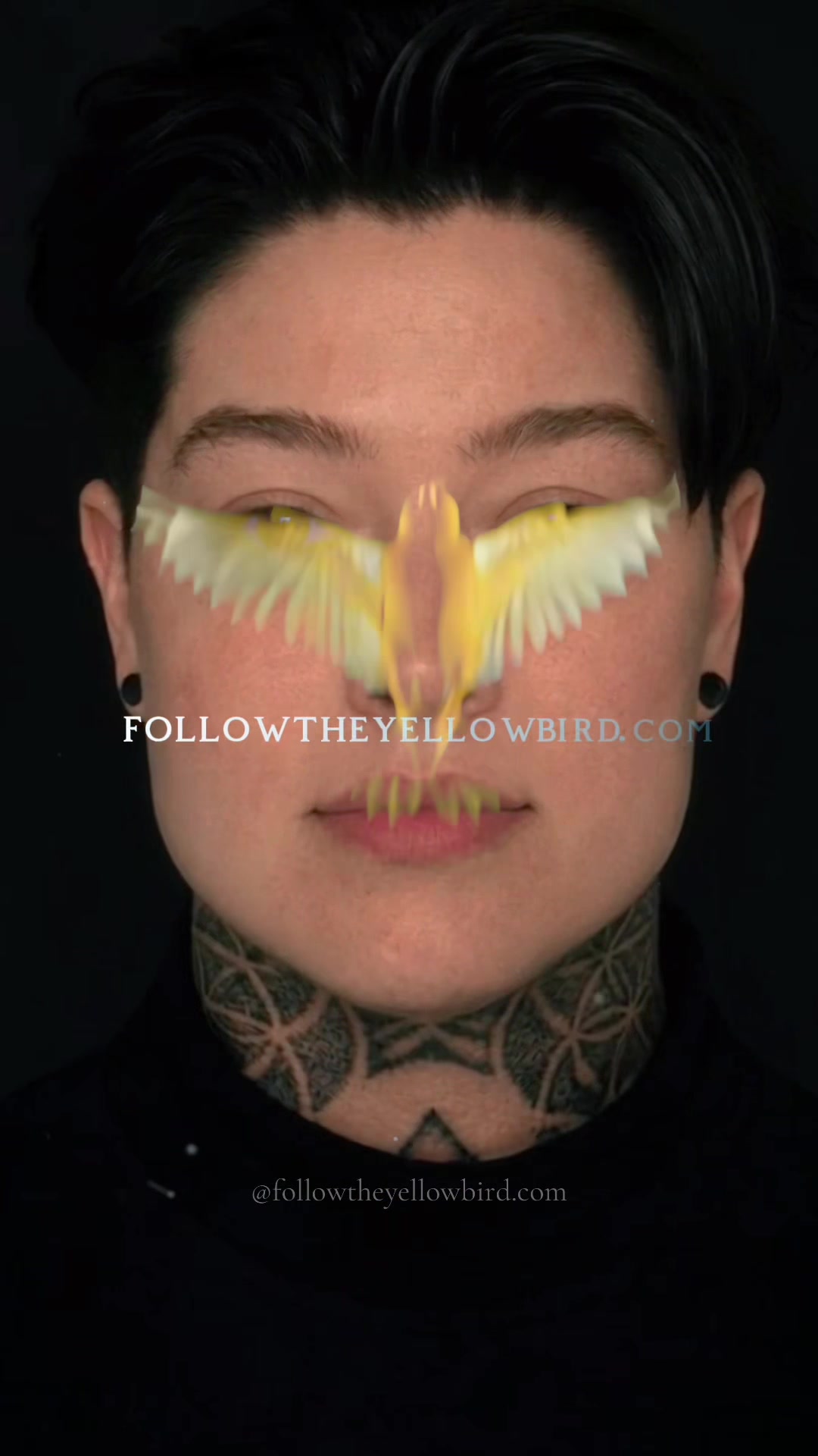 @Follow The Yellow Bird
