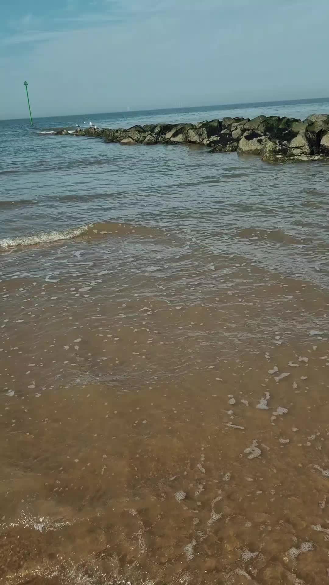 @Sarah Baker789