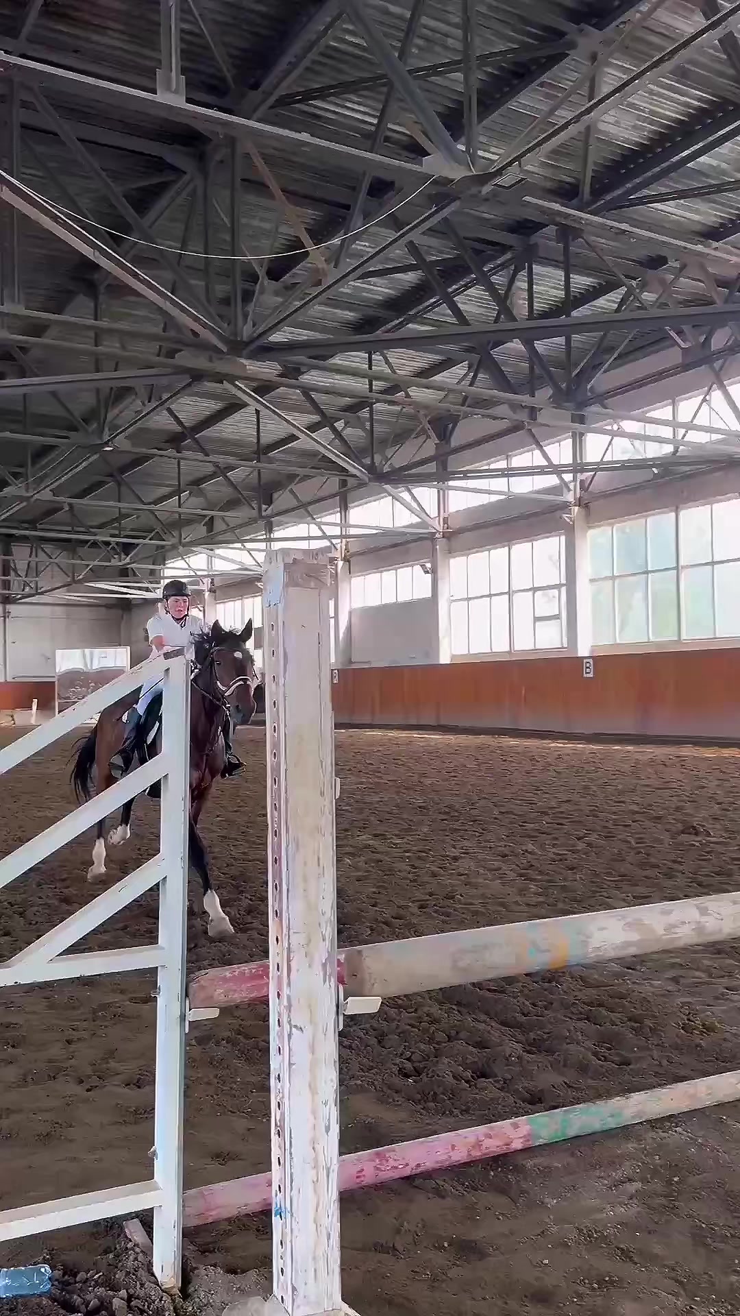 @🐎Ева🐎