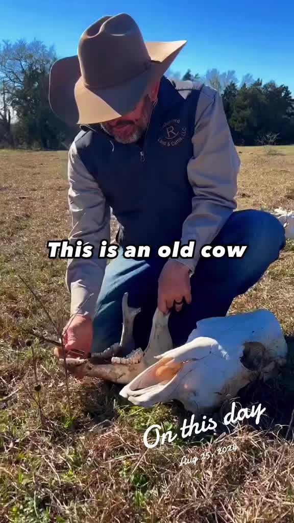 @Rutherford Land and Cattle