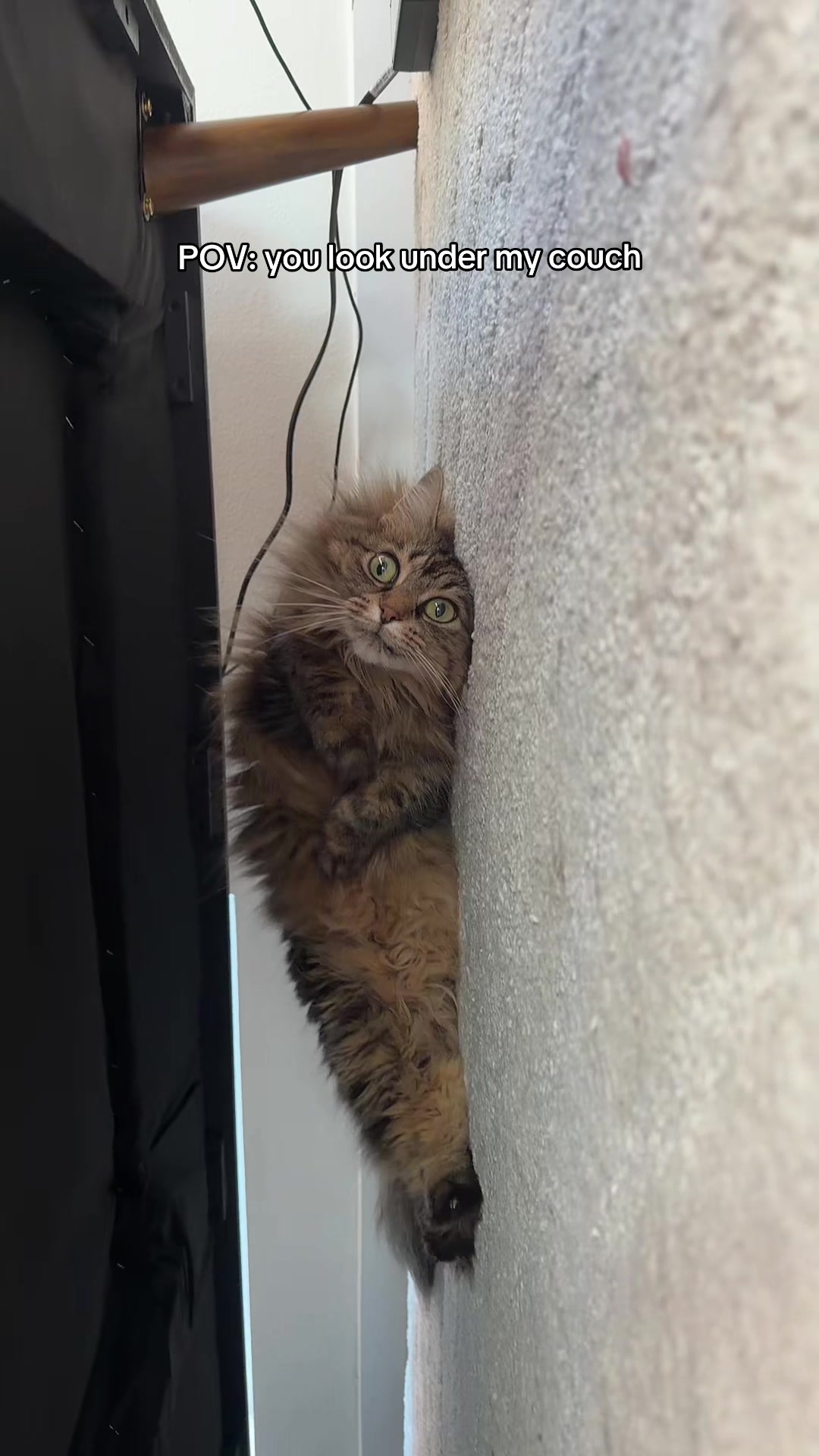 @CatLadySadie
