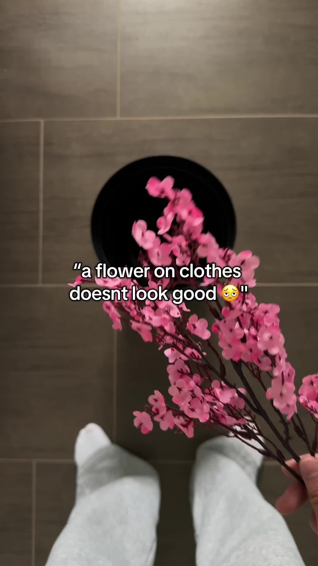 @seika