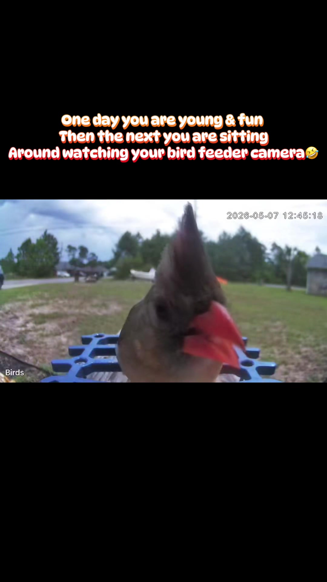 @Chrissy