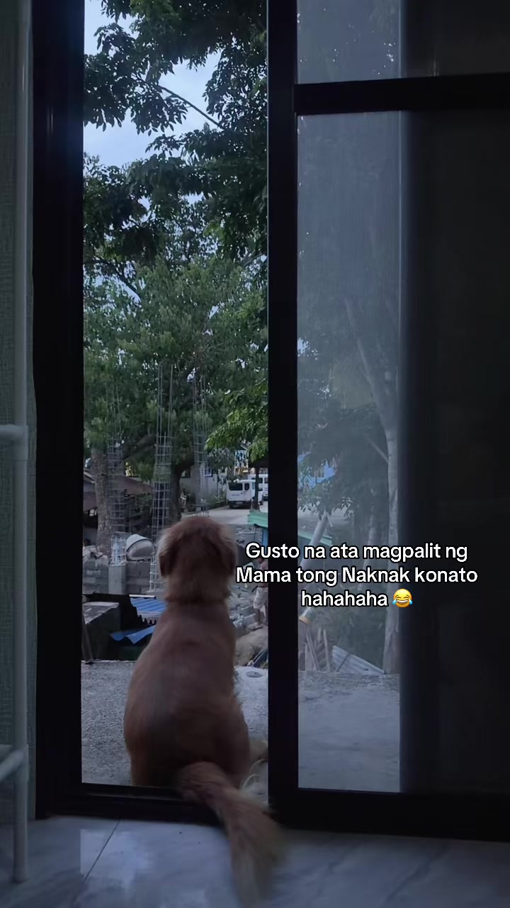 @Marj Moon 🌙