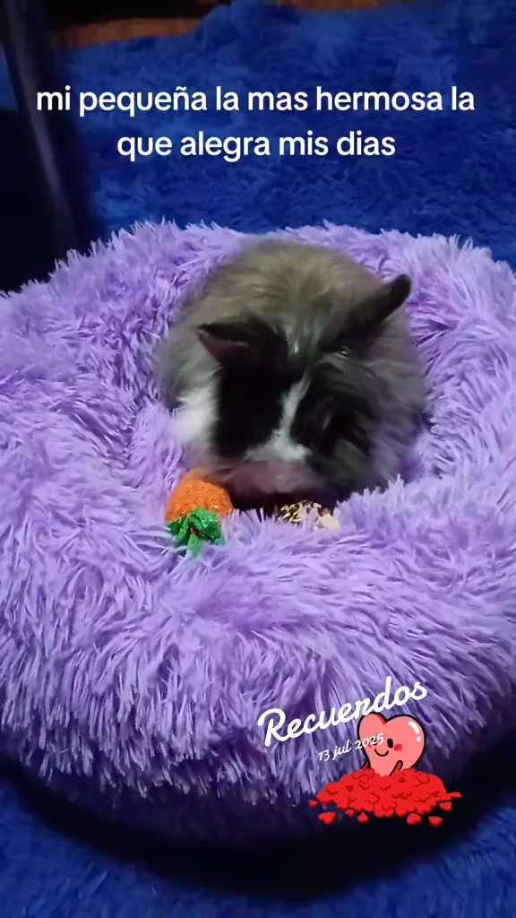 @leidymiranda_2084
