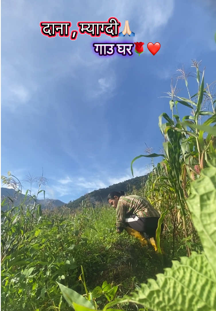 @Riteshghatane_official