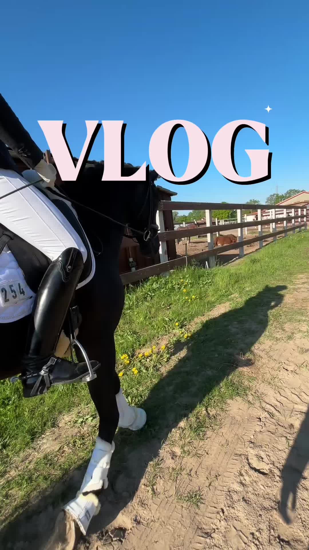 @evis.pferdechaos