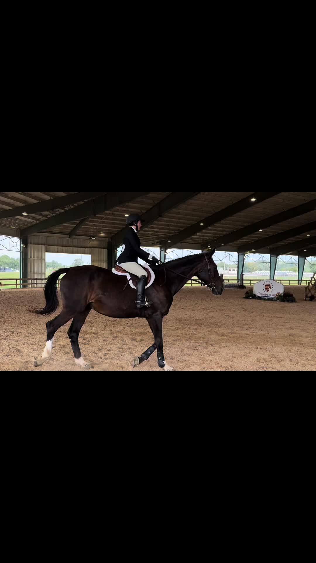 @Aftyn 🐎