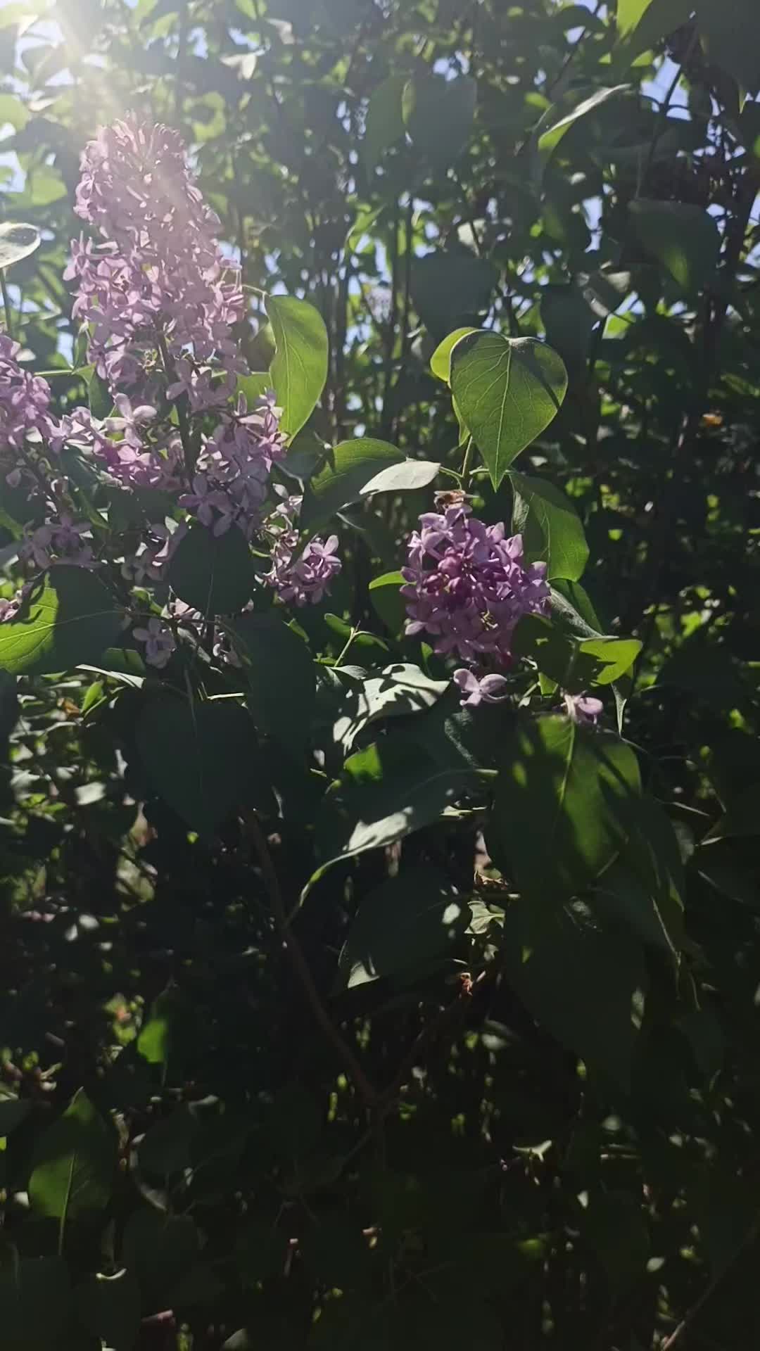 @𝓝𝓪𝓼𝓽𝓮𝓷𝓴𝓪