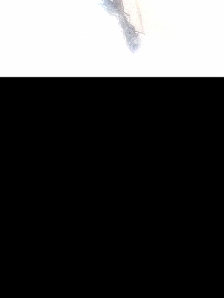 @𝗡𝗶𝗳..❤️🥺