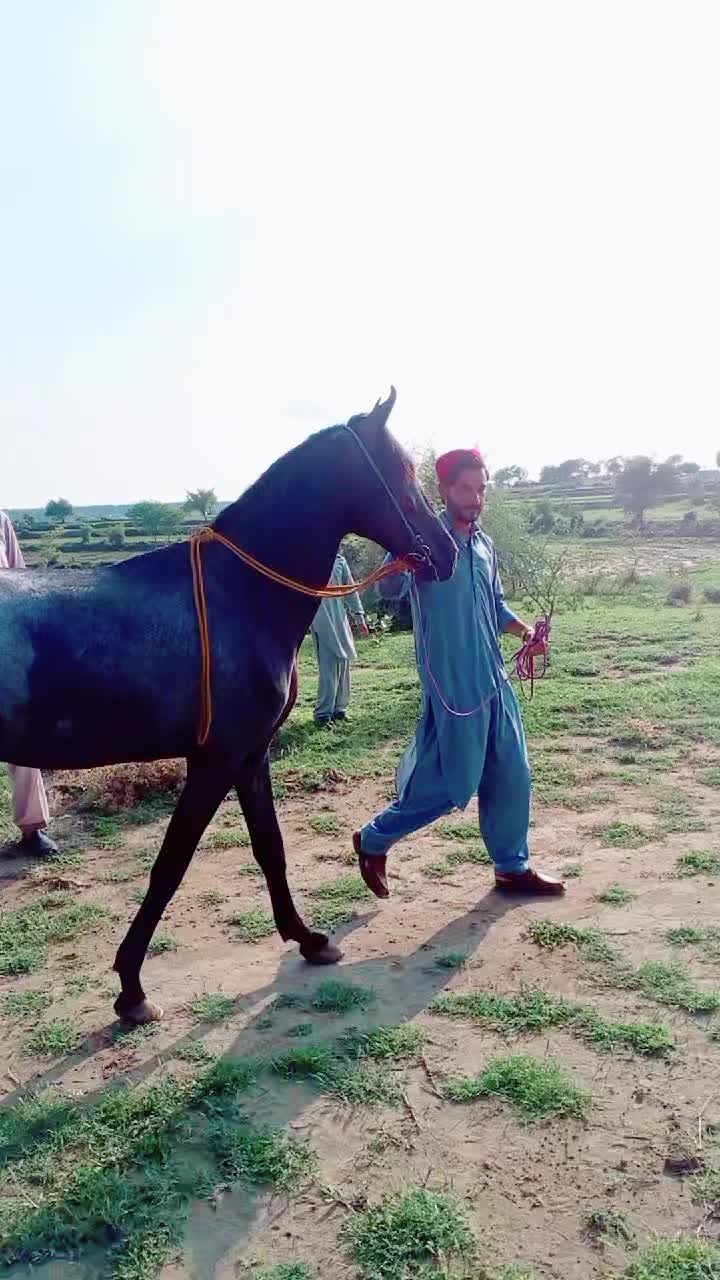 @🦁SARDAR MOBEEN KHAN🦅