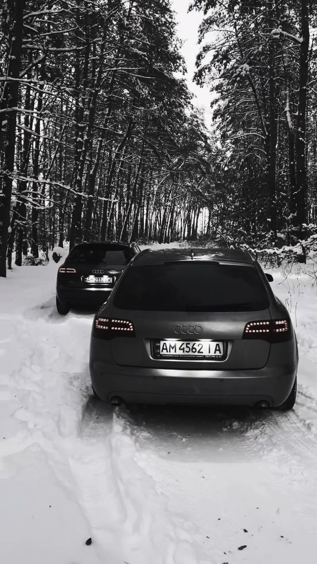 @Car Paint Звягель