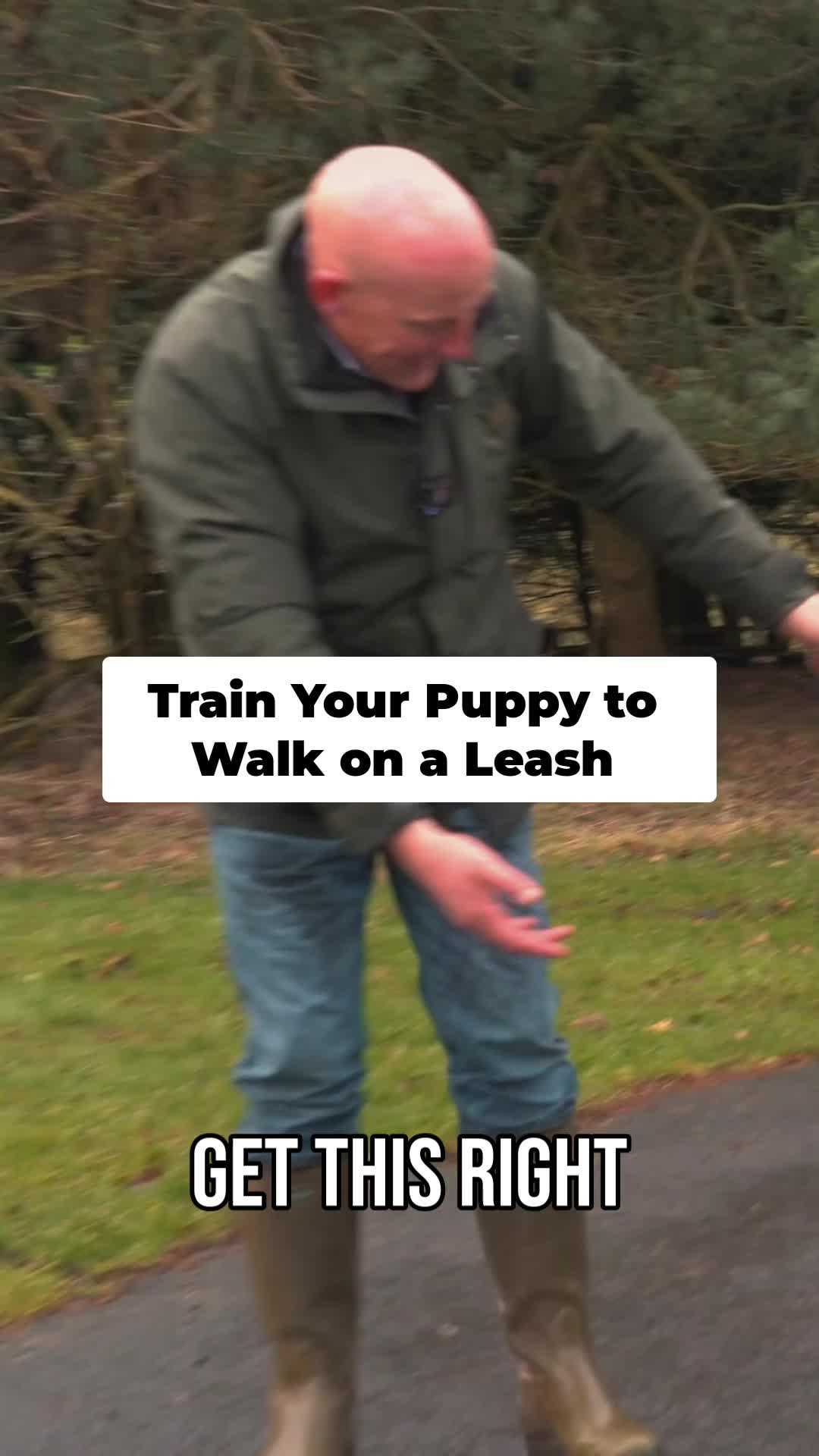 @Mordor Gundogs