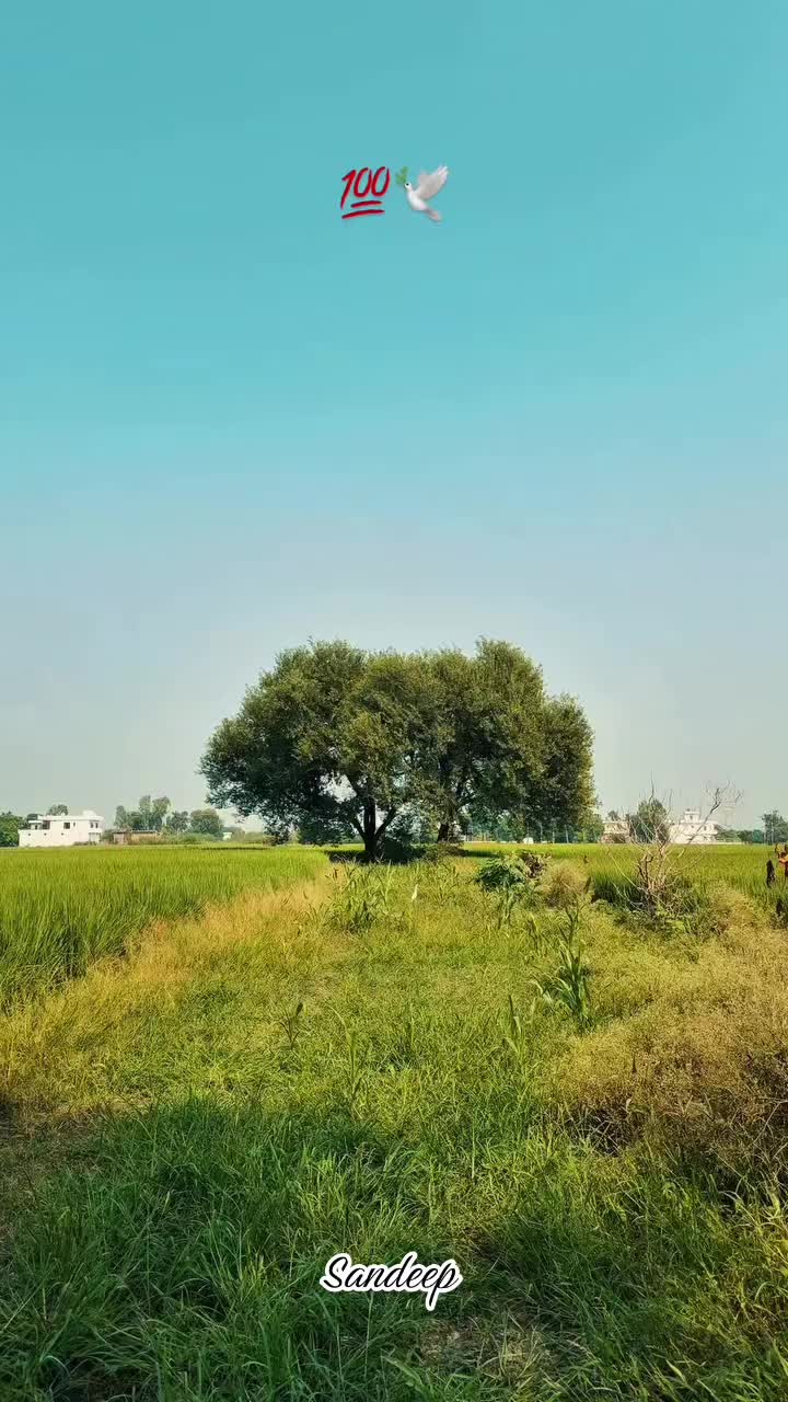 @Sdeep_2022
