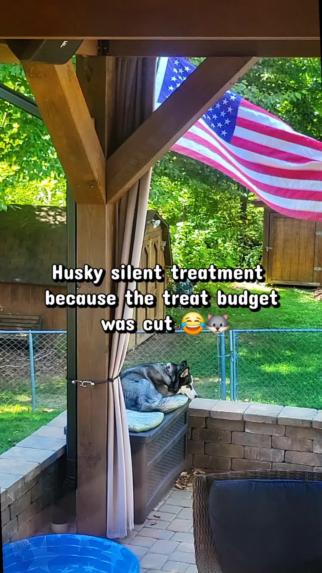 @the Hussey Husky