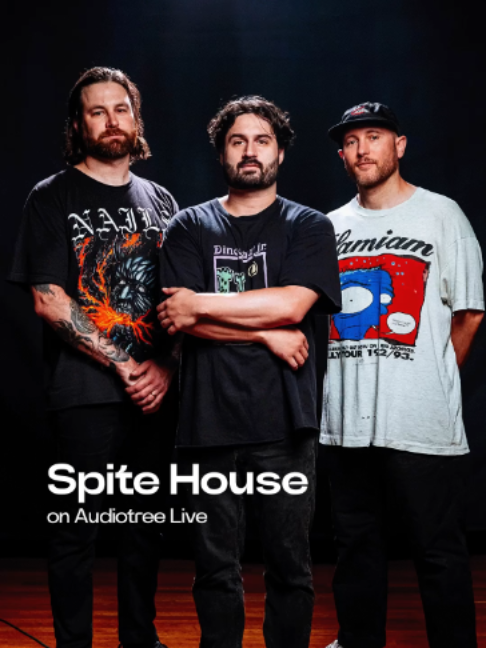 @Audiotree