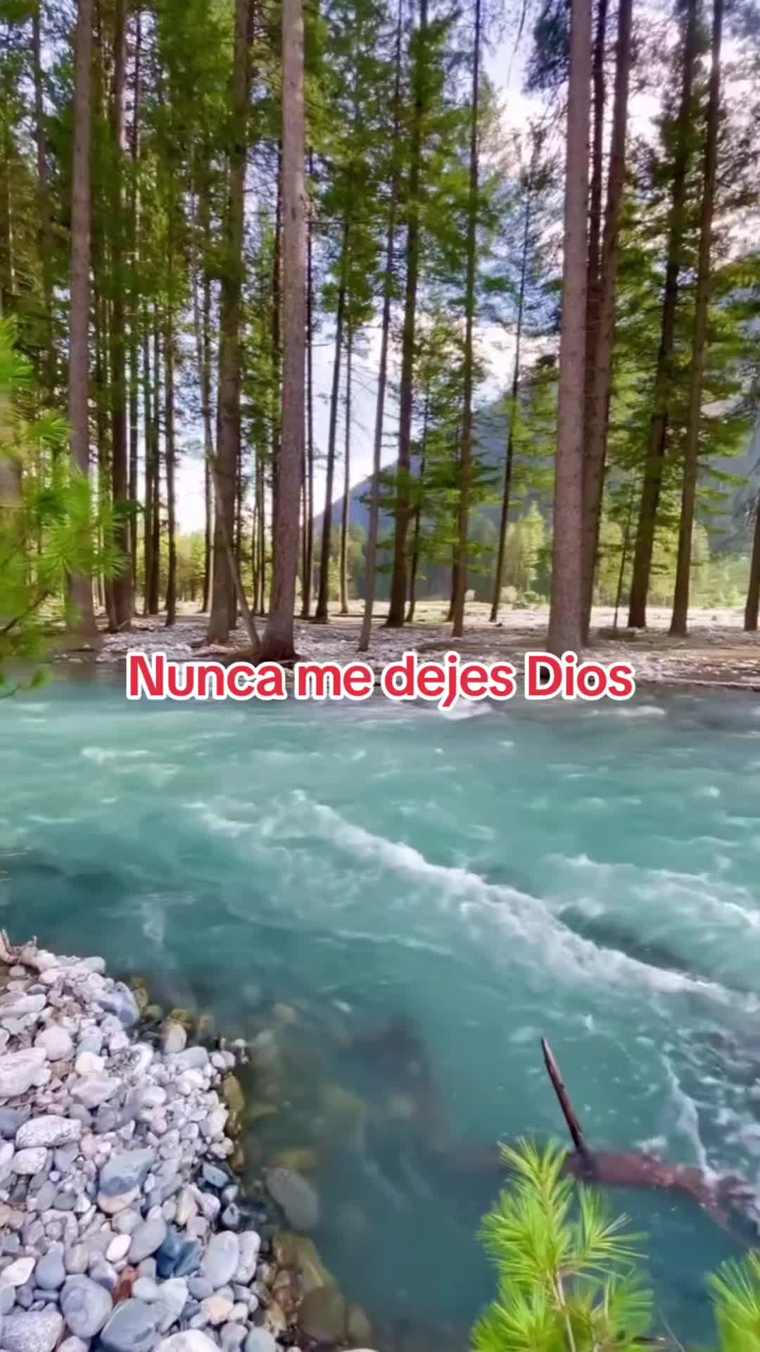 @R. La Voz Latina En Usa