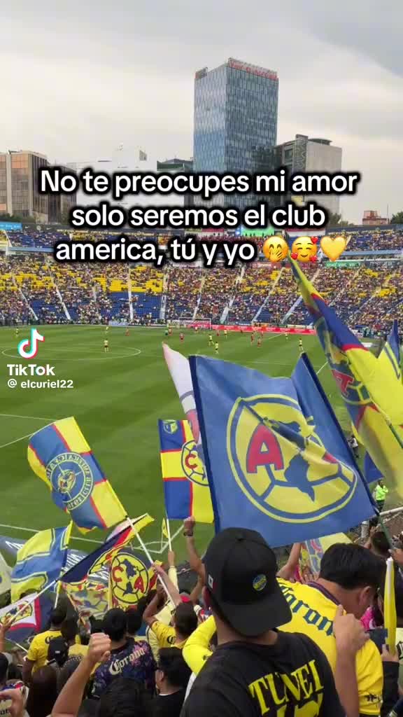 @saulcris83