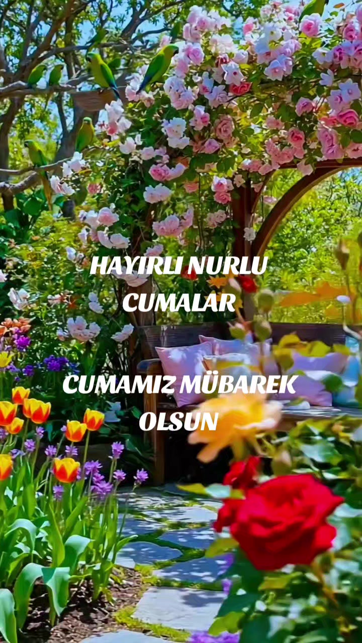 @Hasan Yılmaz