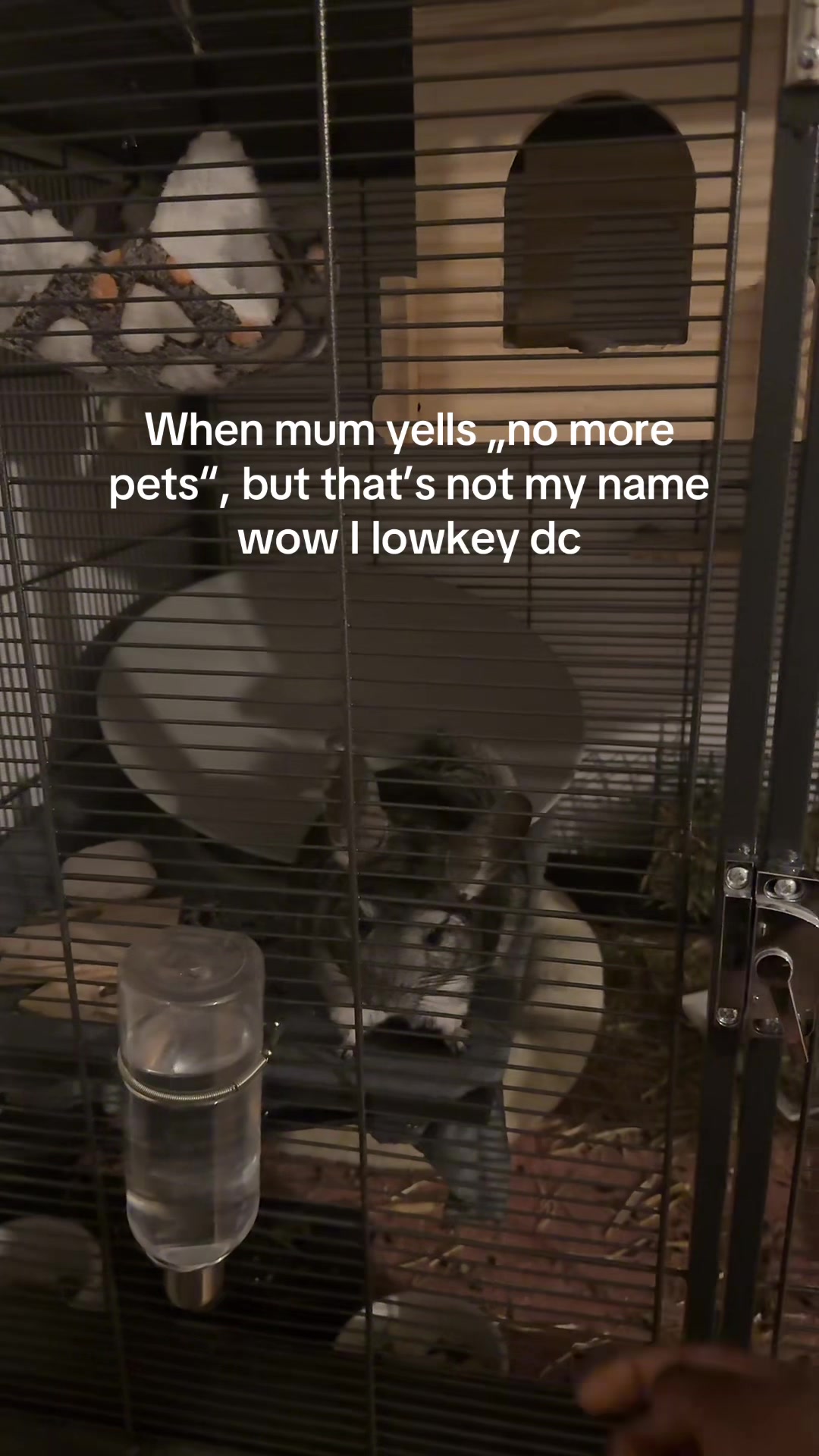 @BANDIT & STRIPE
