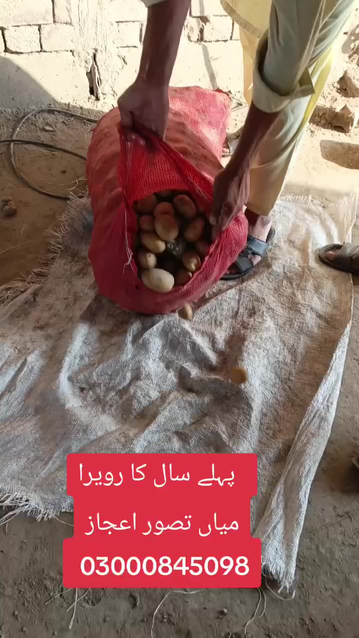 @Pakistan Kisan T.V