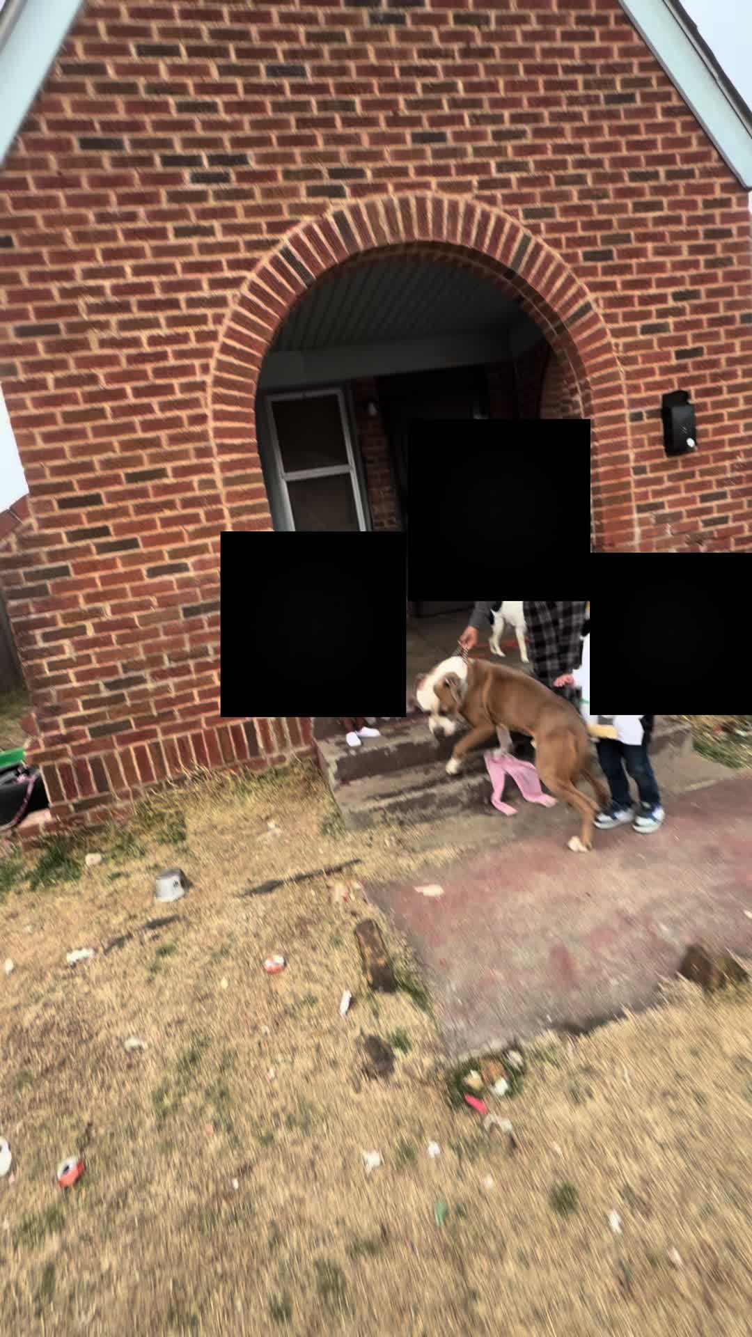 @AnimalWelfareGuy
