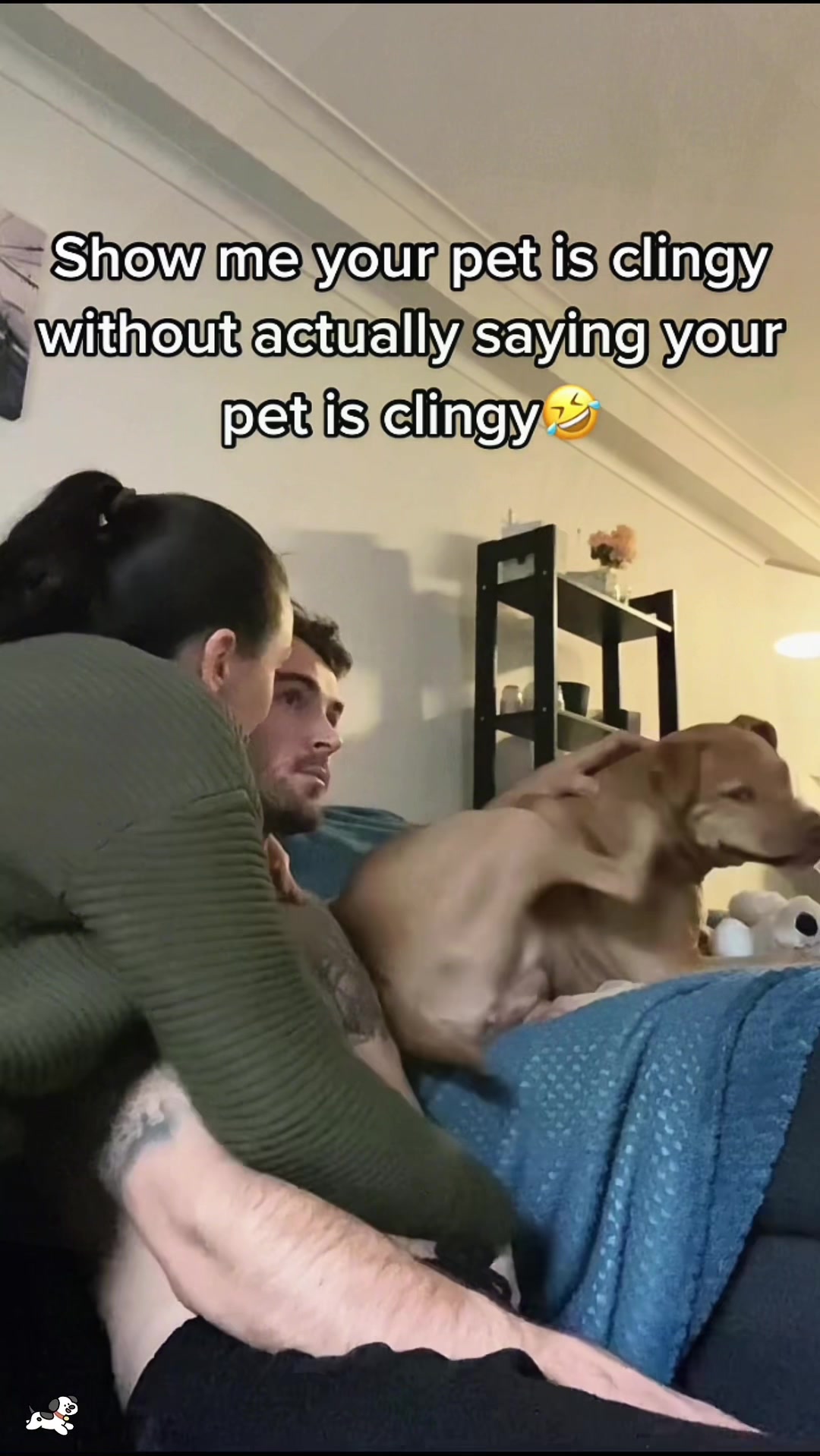 @SneakyFails