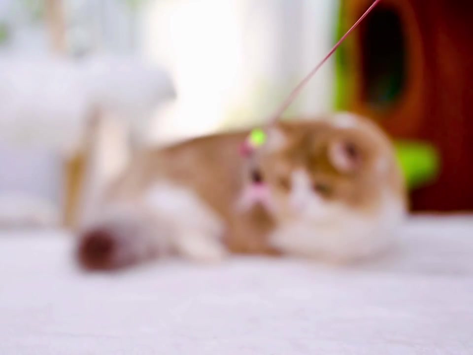 @fuyncats