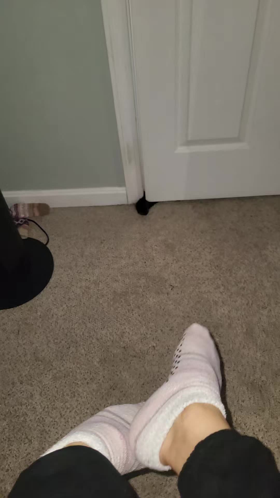 @Krystal Lea & Luna