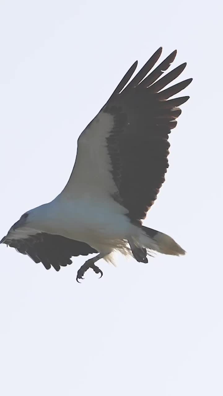 @🦅ZA_KO🦅