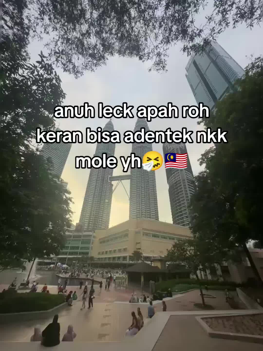 @zainaldavino