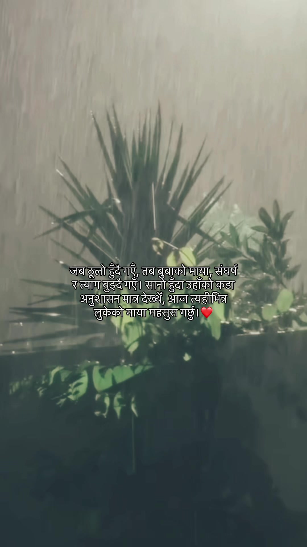 @🌷