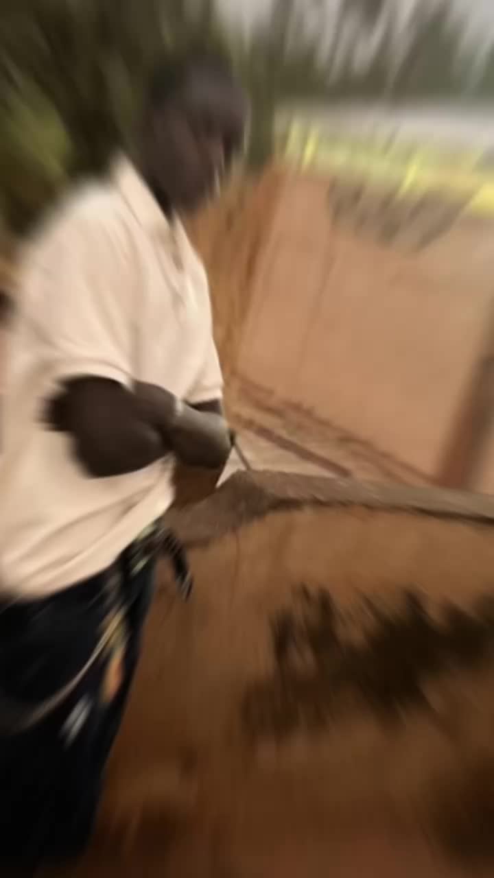 @DA BA DIAWARA