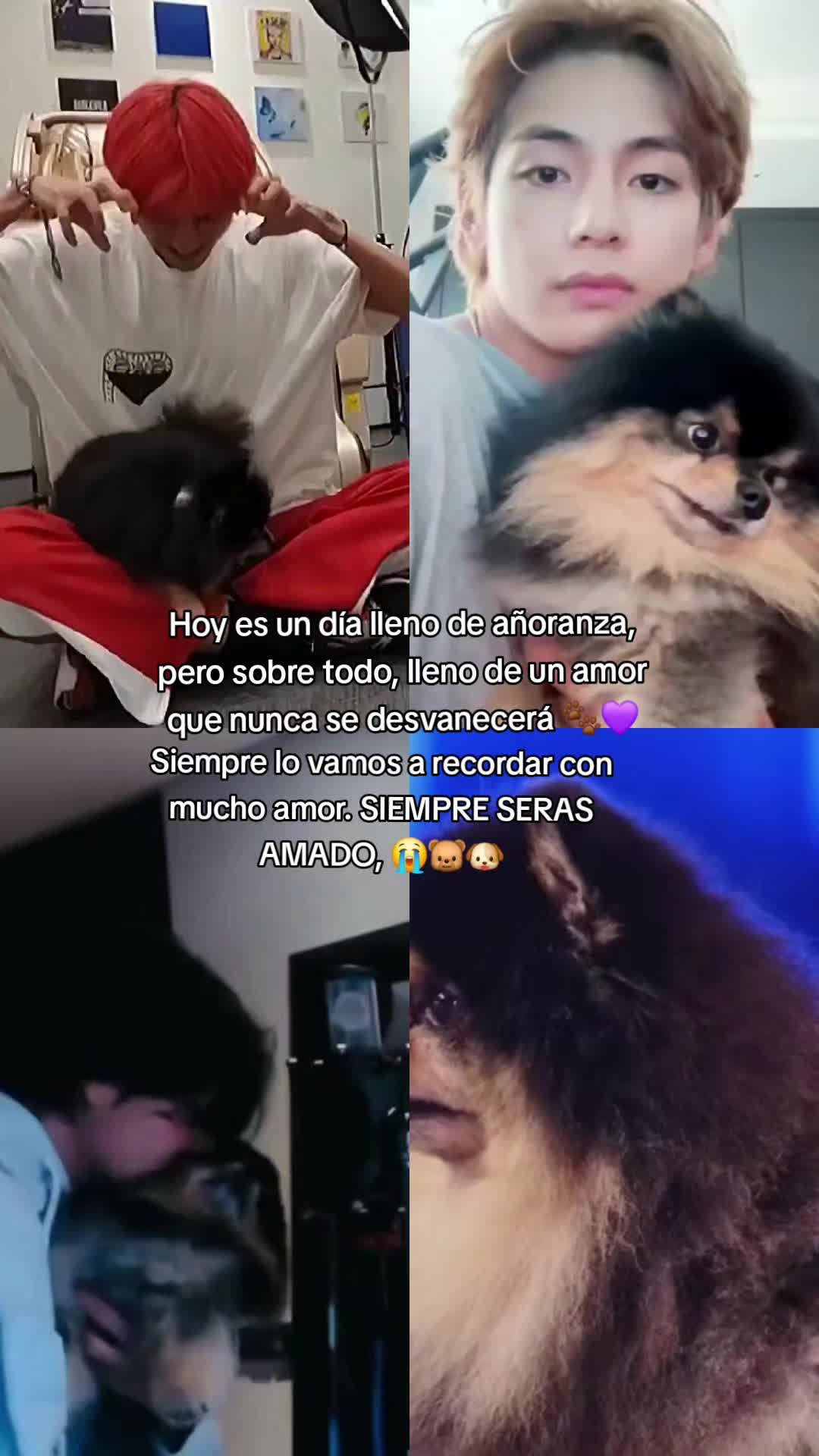 @S-VTHV24 🤴✨️