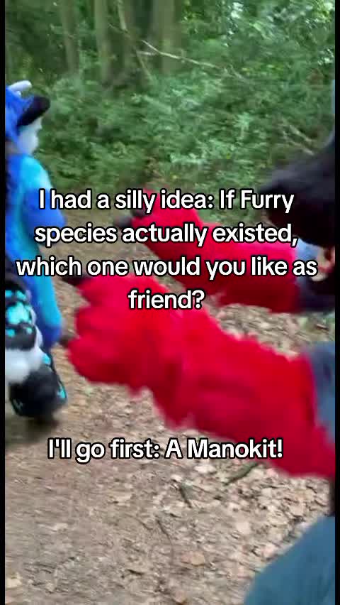 @Wolfine