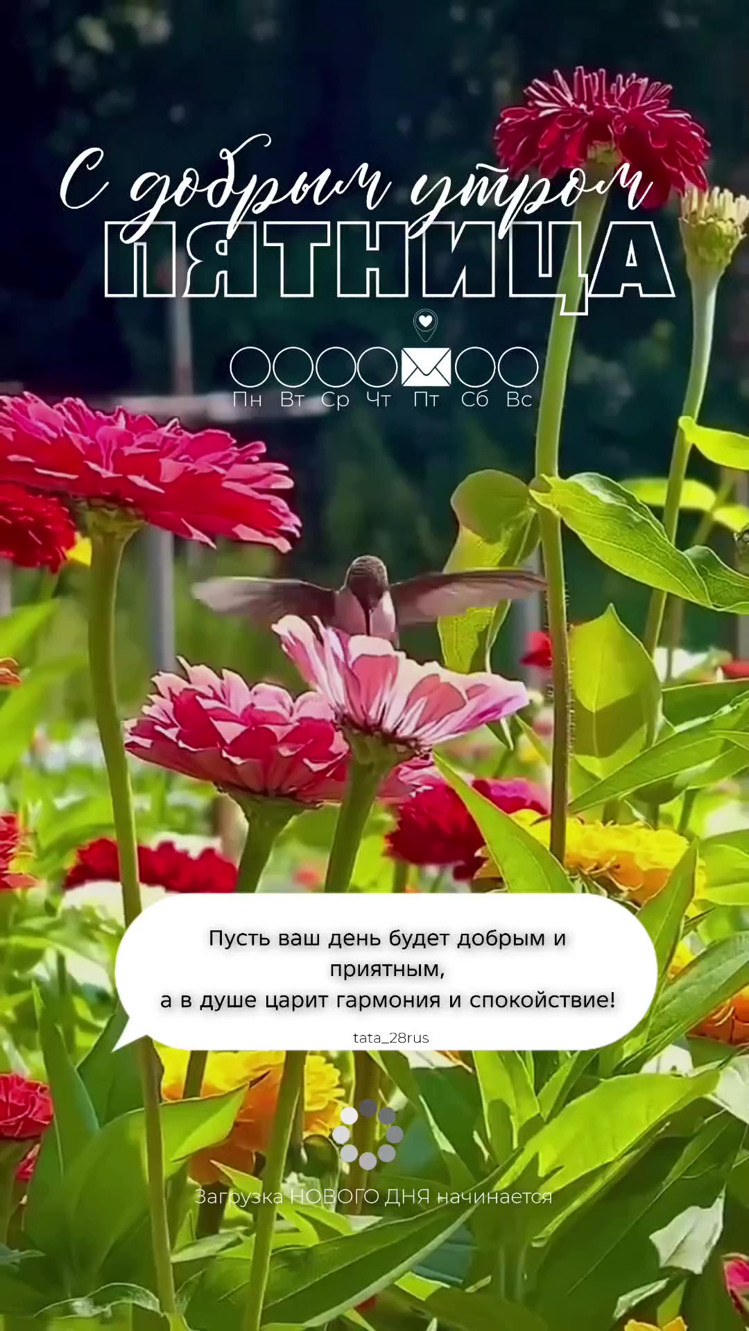 @Tata_Amyrka 🇷🇺