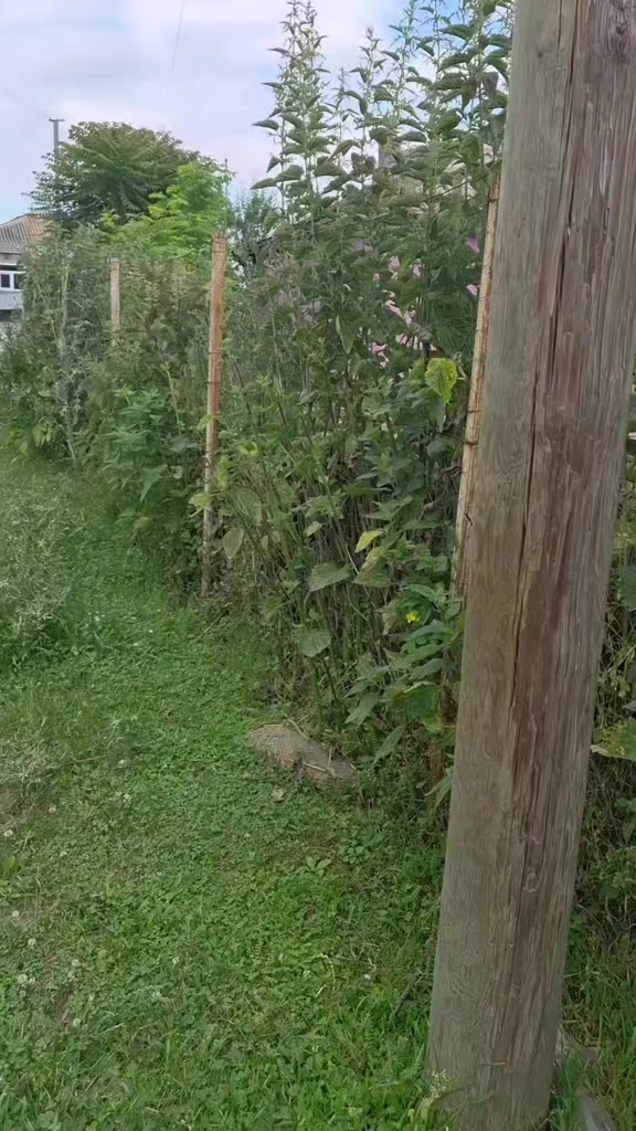 @tiktok