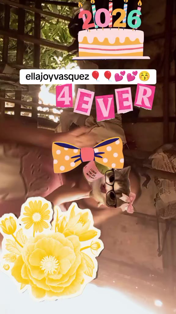 @Elsa abisan Vasquez