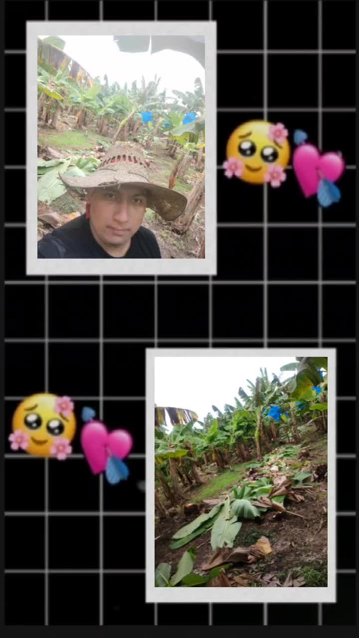 @Ff J