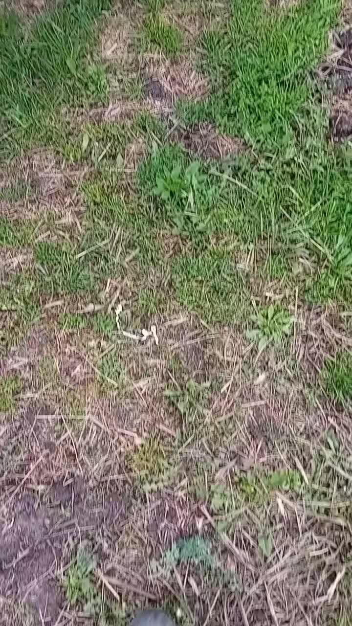 @grMazowieckie🚨🚜