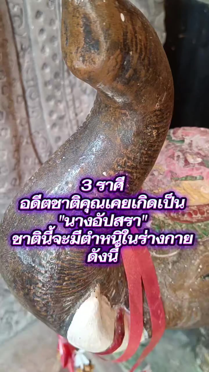 @🧿เซนต์ซาฟา🍀