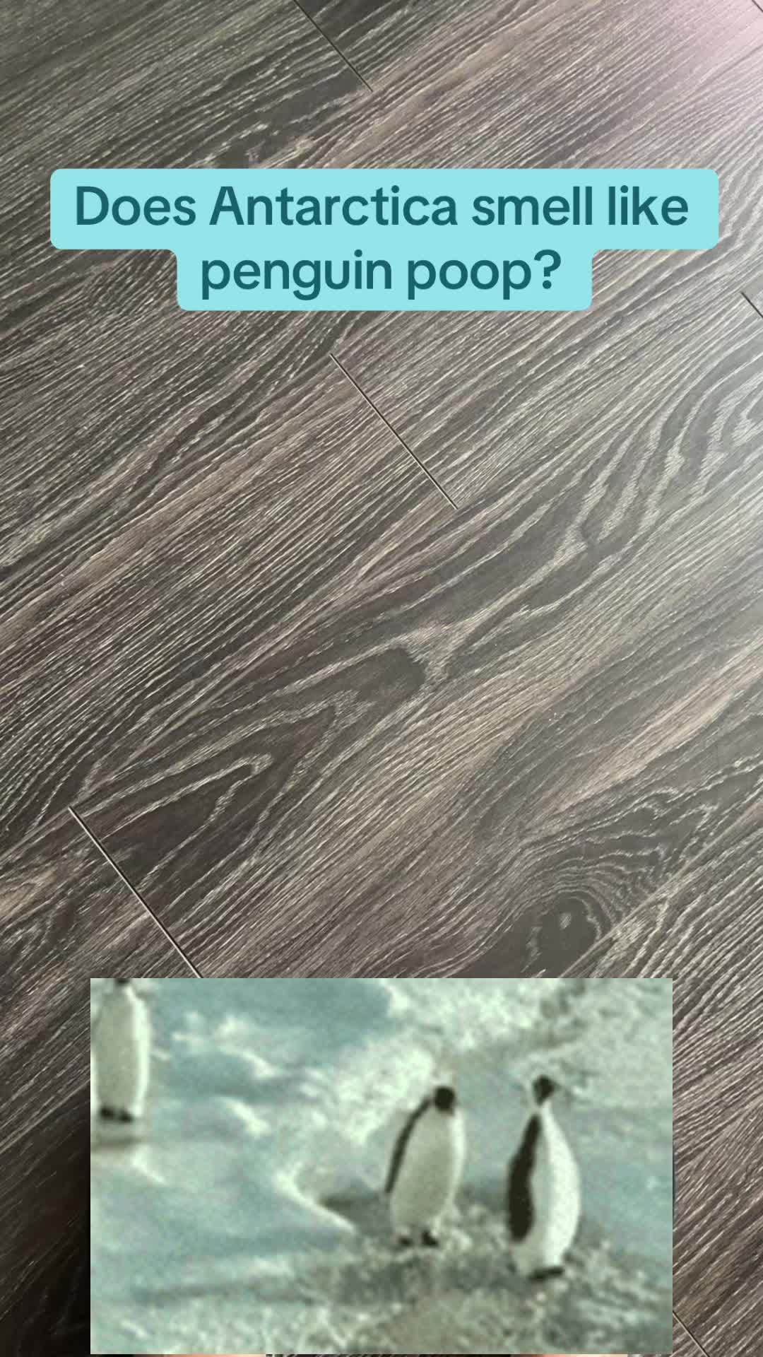 @jeremyquang