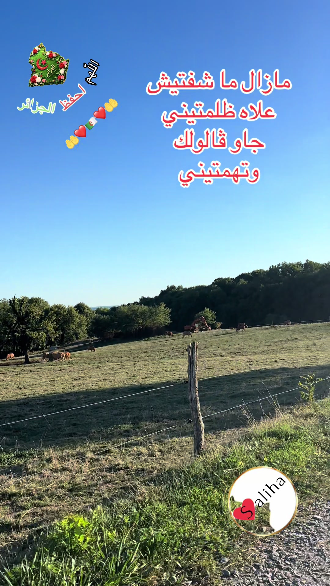 @saliha💔mess09