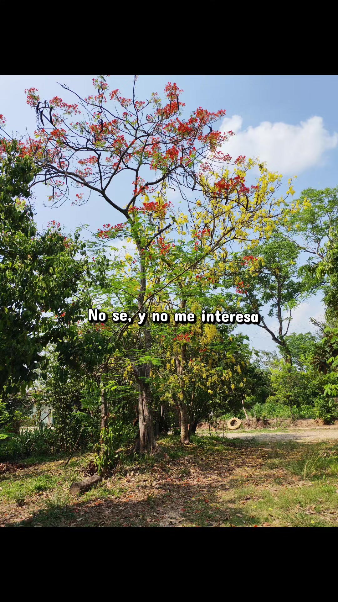 @YessS... 🌷