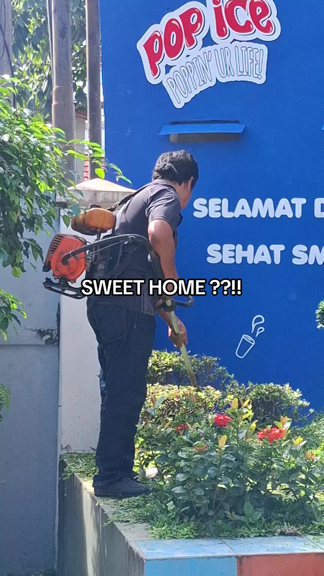 @taesan :p