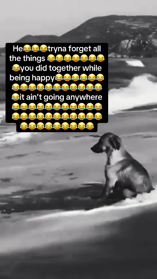 @ 