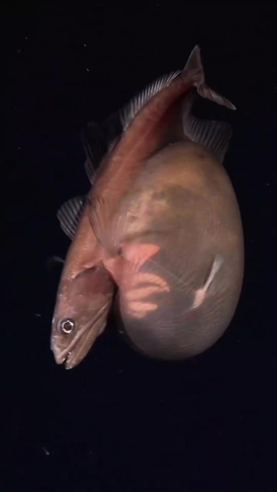 @Ismael Chee