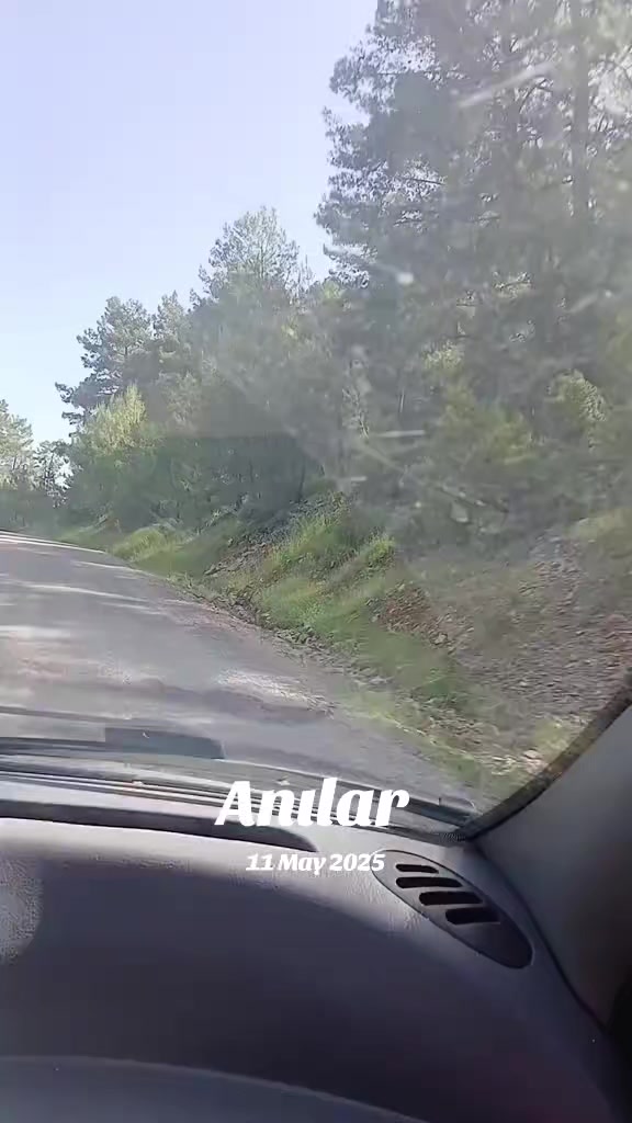 @G&uuml;ls&uuml;n 48